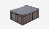 Plastback