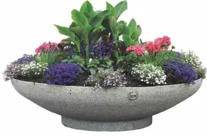 Blomkruka oas