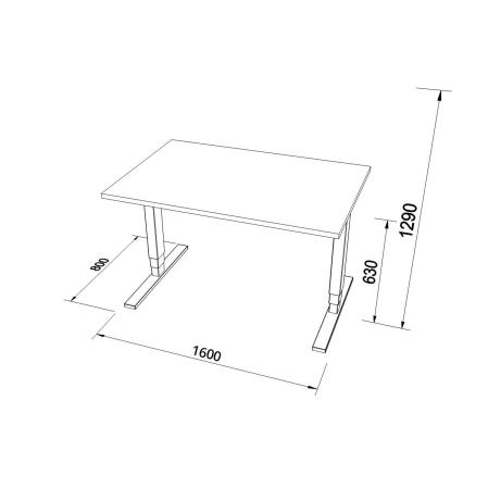 Hoj- och sankbart skrivbord med T-stativ