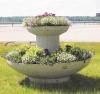 Blomkruka oas med forhojningsring