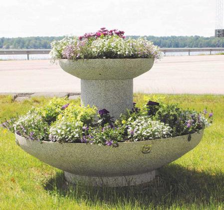 Blomkruka oas med forhojningsring