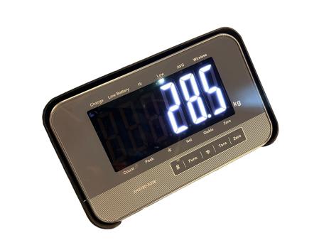 Elektrisk pallyftare