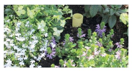 Vattningsinsats till blomkruka oas