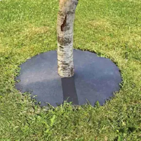 Ograsplatta Stemguard