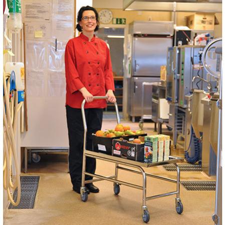 Rostfri plattformsvagn med 1 hyllplan