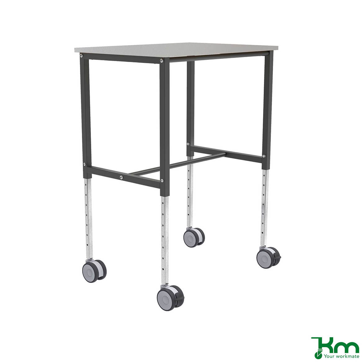 Rullbord Ergo, bromsade hjul 200 kg