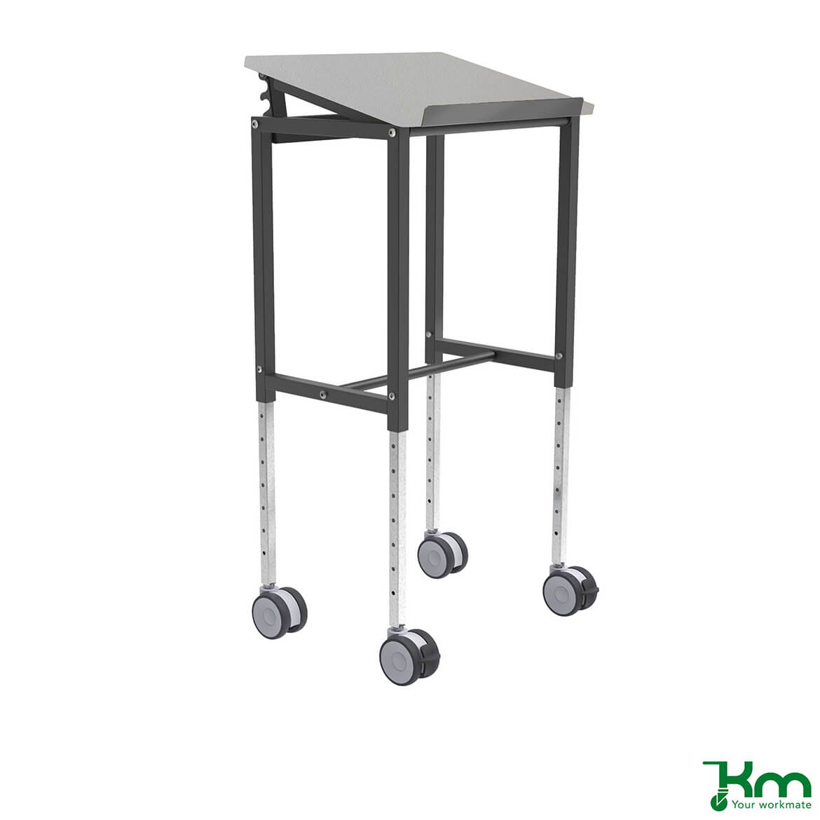 Rullbord Ergo tilt, bromsade hjul 600x400x720 mm 200 kg